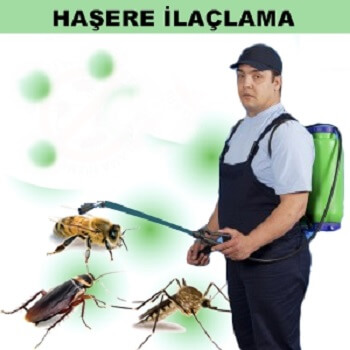 Sincik Böcek İlaçlama
